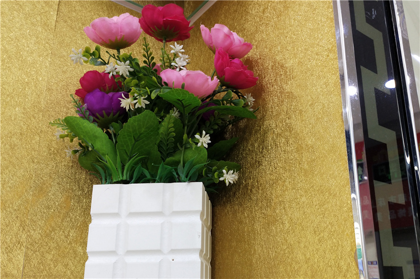 产品拍摄,广告摄影,盘景,植物,绿色,白色背景,白色,装饰,设计,多肉植物,背景,墙纸,花盆,产品设计,室内植物