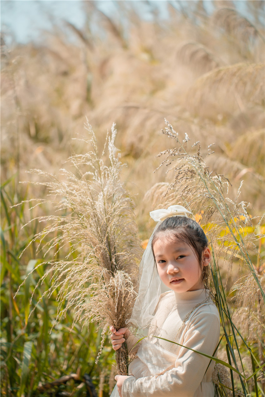 写真/艺术照,艺术写真