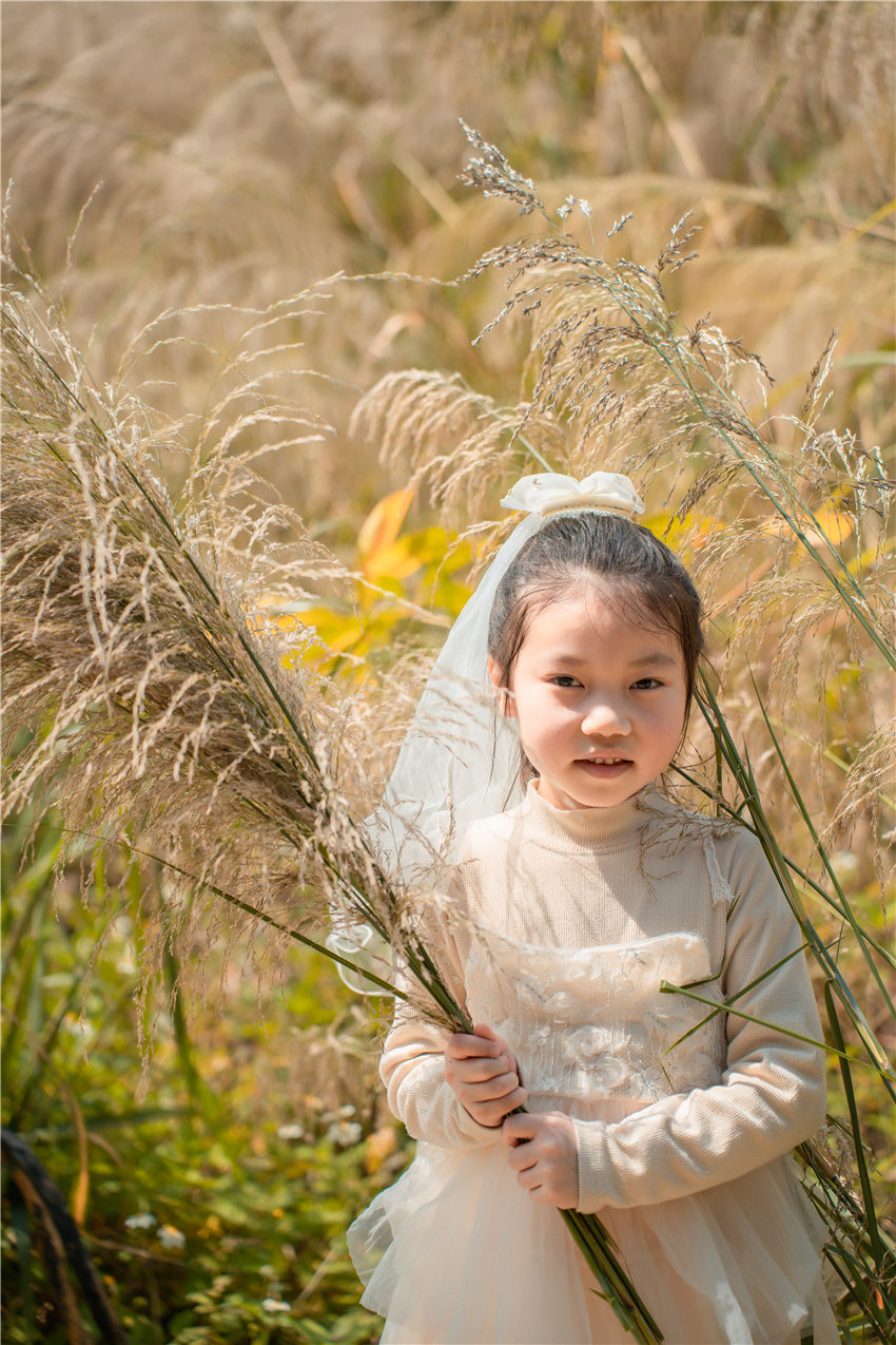 写真/艺术照,艺术写真